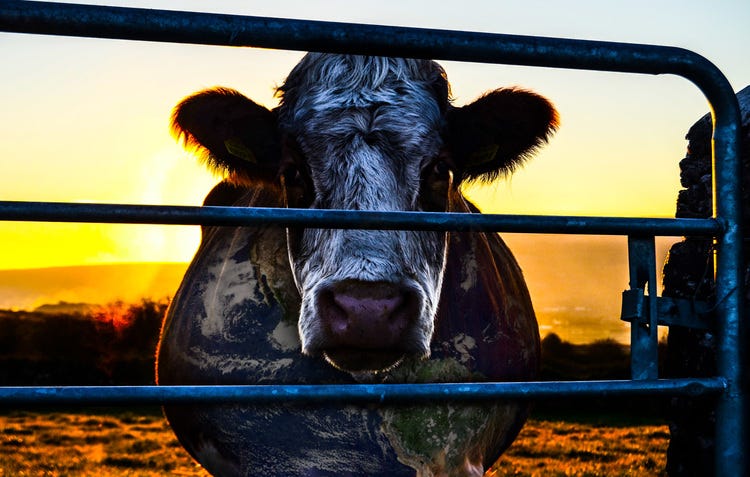 Cowspiracy documentary