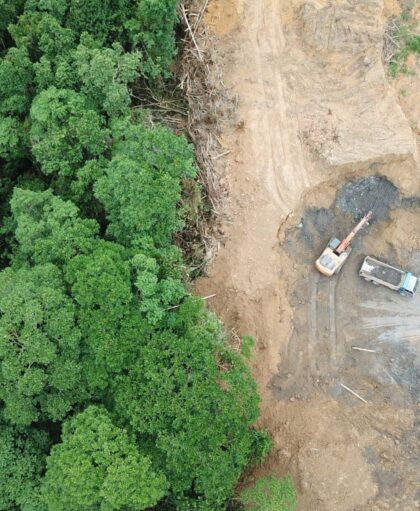 Imagem aérea de desmatamento shutterstock 1098811376