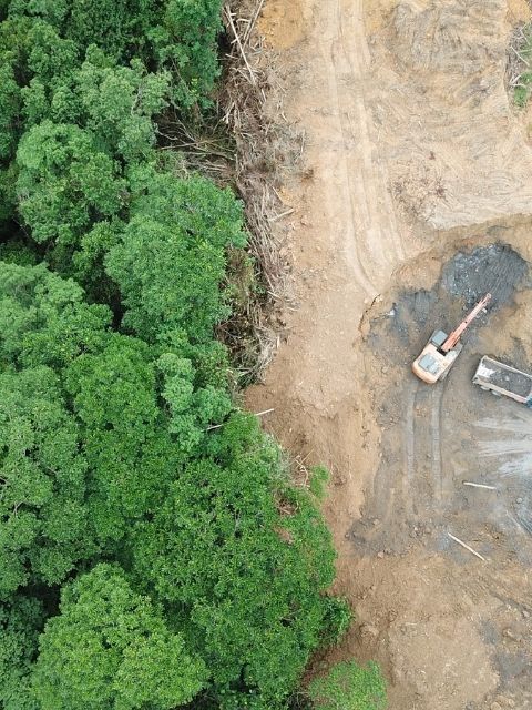 Imagem aérea de desmatamento shutterstock 1098811376